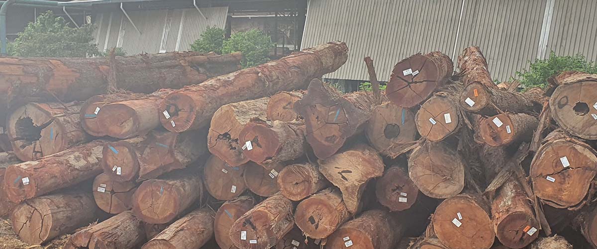 NYATOH LOG